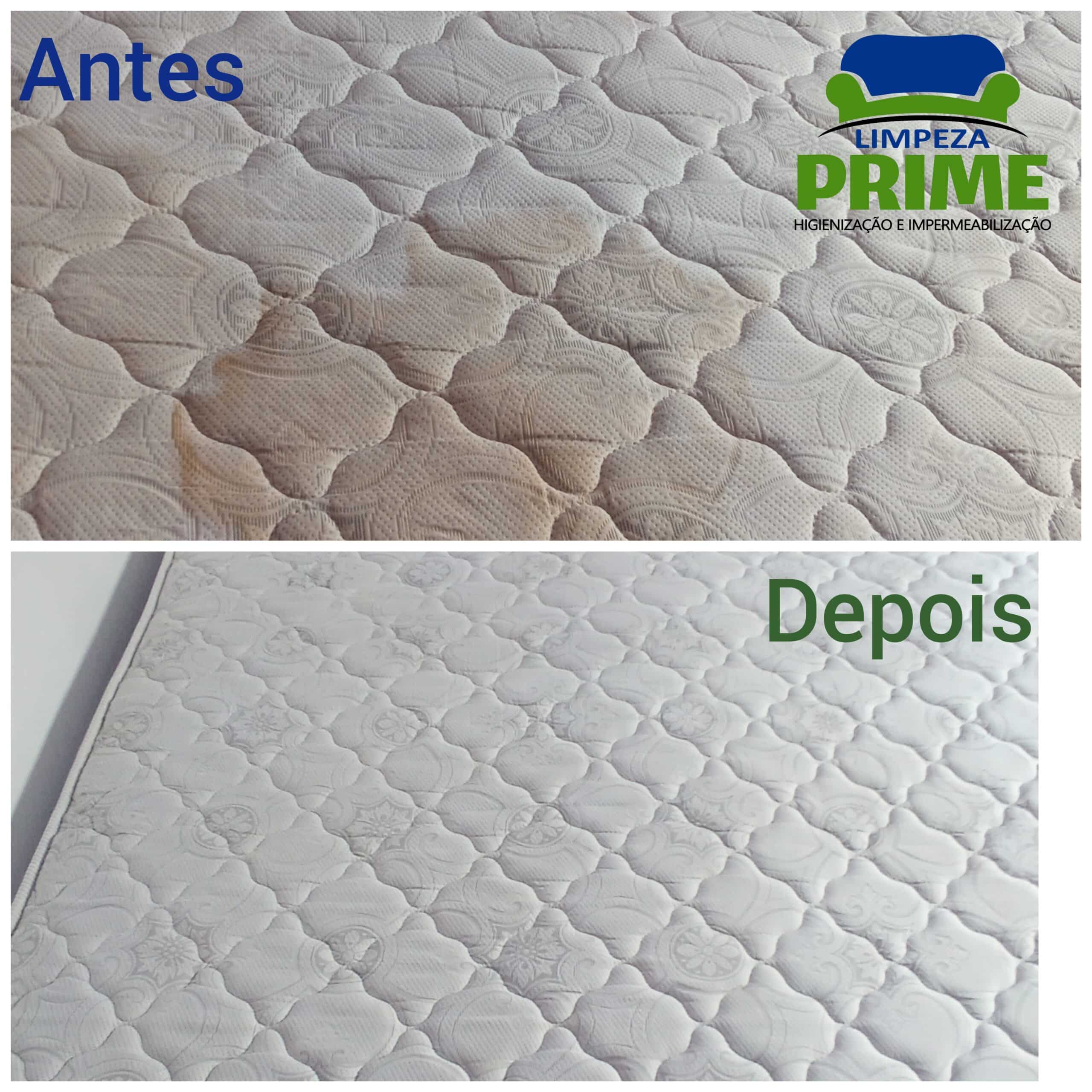 Polish_20221017_125437126